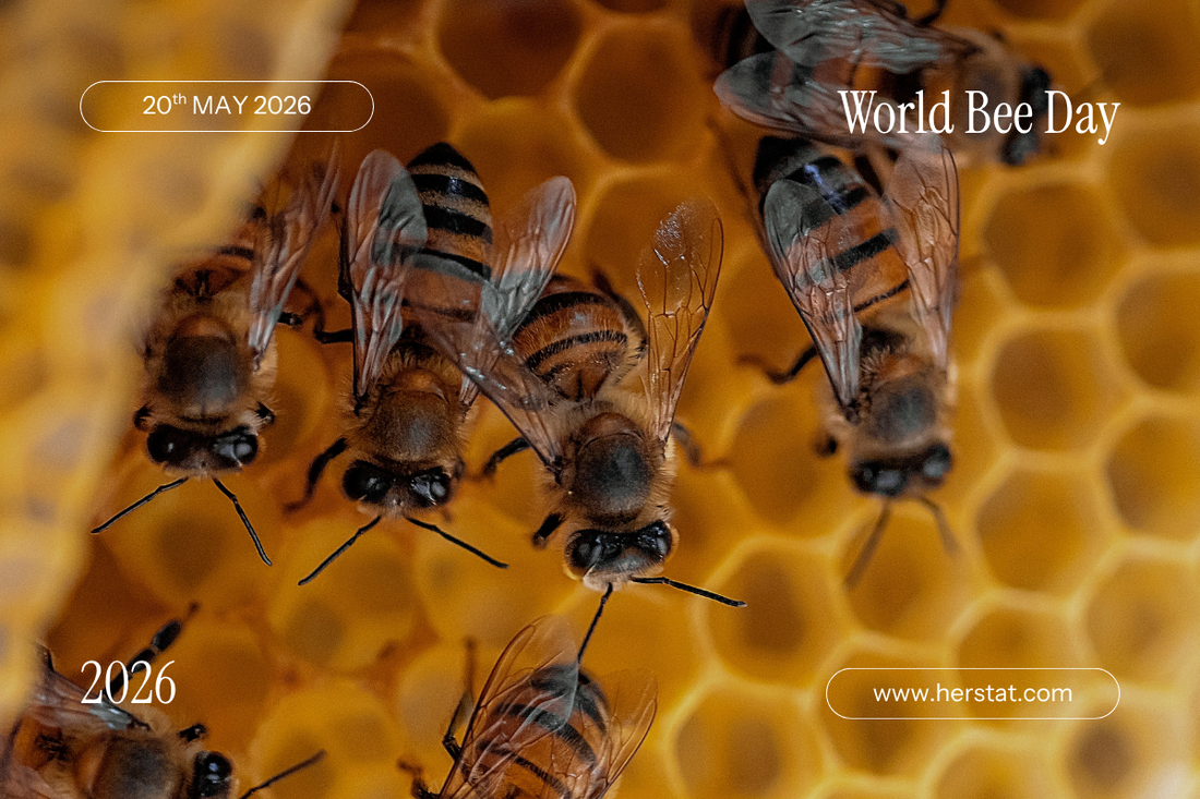World Bee Day 2026